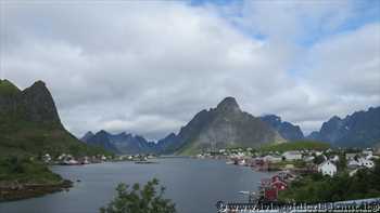 reine
